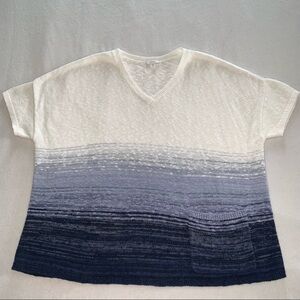 J.Jill Pure Jill V-neck Ombre Sweater Size 1x